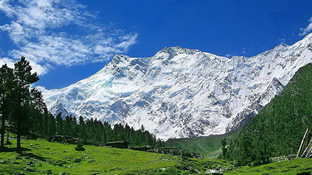 Fairy Meadows